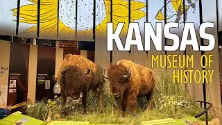 Kansas Museum of History Topeka, Kansas VLOGMAS #23 