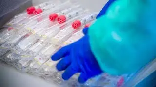 Corona-Testpflicht f&uuml;r Reisende aus Risikogebieten soll kommen