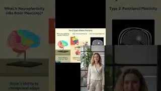 Why Baby Memories Disappear