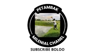 SEMANGAT !! MONITORING PERTUMBUHAN PADI #petani #shorts #petanimuda #pertanian #world #mancing