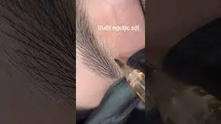 Vuốt ngược sợi l&ocirc;ng m&agrave;y #lemaria #pmu #hairstrokes #balancedstrokes