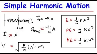 Simple Harmonic Motion (SHM) Explained | Physics Live Class