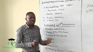 ENTREPRENEURIAL OPPORTUNITIES