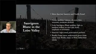 Tasting around the World Session 3: Sauvignon Blanc