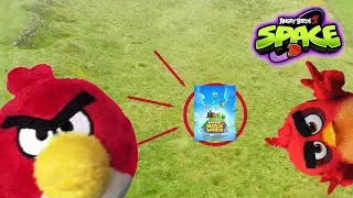 2025 был годом в истории Angry Birds