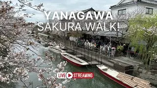 Yanagawa - Sakura Walk / 柳川- Kyushu, Japan