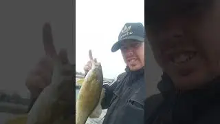 lac St Fran&ccedil;ois bass # fishing