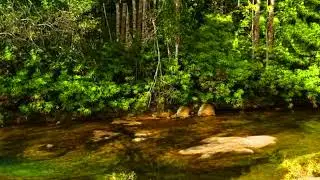 Birthday Creek Falls at Paluma - Queensland