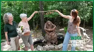 Inside Project Chimps : Sculpting Sheena
