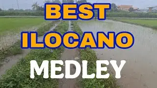 ✨️✨️ALLTIME FAVORITE ILOCANO✨️✨️ MEDLEY// ILOKANO 