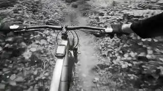 Quantock Hills MTB