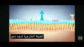 اقوى فيديو ثلاثي الابعاد لبنية غشاء الخلية 🤯💯🔥وحدة المناعة للسنة الثالثة ثانوي 🤓🧪🔬