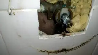 Home repair Moen single handle positemp cartridge replace by froggy