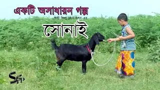 সোনাই । Sonai । Short Film । Jahangir, Tarina , Rony । New Natok 2020 । Shahi Film Production