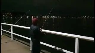 How to Catch Tailor Along the Sandgate Foreshore
