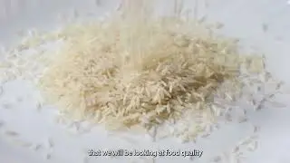 The 6th International Rice Congress is happening in Manila