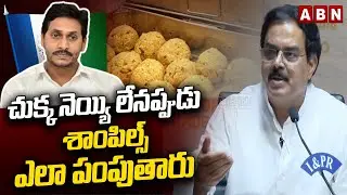చుక్క నెయ్యి లేనప్పుడు శాంపిల్స్ ఎలా పంపుతారు | Nadendla Manohar fires on YCP | ABN Telugu