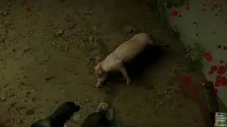 Let&acute;s Play&acute;s ● Miscreated ● S2 T180 ● Das 🐖 war schuld!!!