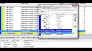 Primavera P6 Training : Assigning project codes