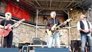 Merlins Fantasy Farm - sings Hollies and Searchers