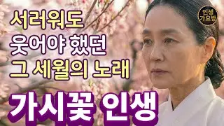 여자의 일생은 흐르는 강물인가｜정통트로트 [가시꽃 인생]