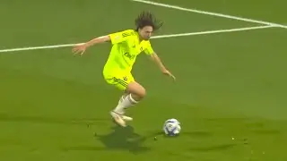 Alexander Lind is a versatile Danish striker - 2025