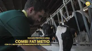 LATTOGENO ROBOT LINEA FORCE - TESTIMONIANZA AZ. ROBUSTI - POMPIANO (BS)