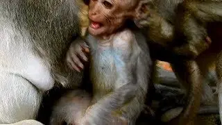 What's wrong mom Jade on her baby Julina?