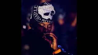 Playboi Carti x BABYBOI Type Beat 