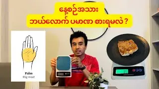 ကြွက်သား တည်​ဆောက် နေသူ​တွေ အတွက် ၊  တစ်​နေ့ Protein (အသားဓါတ်) ဘယ်လောက်စားရမလဲ? 