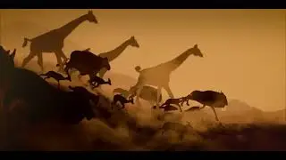 Stampede Ventures Logo Animation