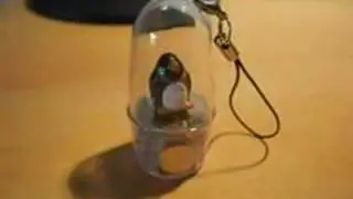 MOPOD