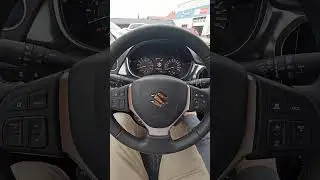 2025 Suzuki Vitara 110 HP 1.4 BoosterJet Cold Start & Revs