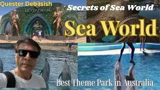 SEA WORLD Complete Tour LIVE | Best Theme Park in Australia | Marine Park & Family Attraction