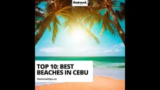 TOP 10 BEST BEACHES IN CEBU
