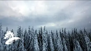 Best Of Green Hill Music - Piano Music For Christmas [Holiday Visualizer]