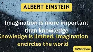 Eistein Said.... #wisdomquotescollection #wisdomforliving #motivation #quotes #wisdomfortoday