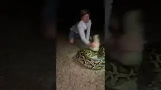That&rsquo;s a big ￼one #snake#youtubeshorts#florida#wildlife