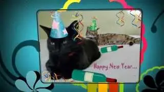 Happy New Year