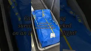 Can an ikea bag survive being checked on an international flight?