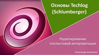Techlog - редактирование попластовой интерпретации