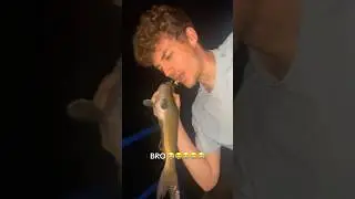 Funny fish#cat #funny #fish #for #foryou #fyp #foryoupage #funnyvideo #animal #animalsoftiktok #pets