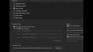 Premiere Pro Tutorial - Using the Project Manager