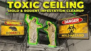 We Tore Out a Toxic Ceiling &mdash; Mold & Rodent Infestation Cleanup
