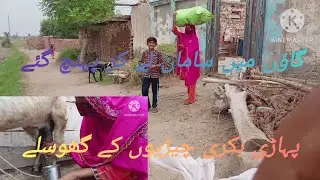 Pahadi bakri ka dudh nikala rishtedaron ke ghar jakar😊