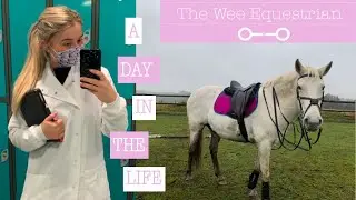 YARD VLOG | A DAY IN THE LIFE | HORSES | VET SCHOOL | UK EQUESTRIAN | THE WEE EQUESTRIAN