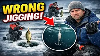 Same Lure, Same Spot, NO Fish? Here's The Brutal Truth.