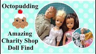 Amazing Sindy Doll Plus Charity Shop Finds