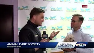 Coco the dog at Animal Care Society