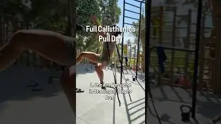 Voller Calisthenics Pull Trainingstag ⬇️ #calisthenics #pullups #pullday